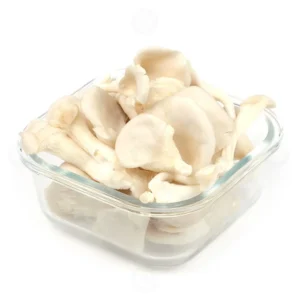 oyster-mushroom