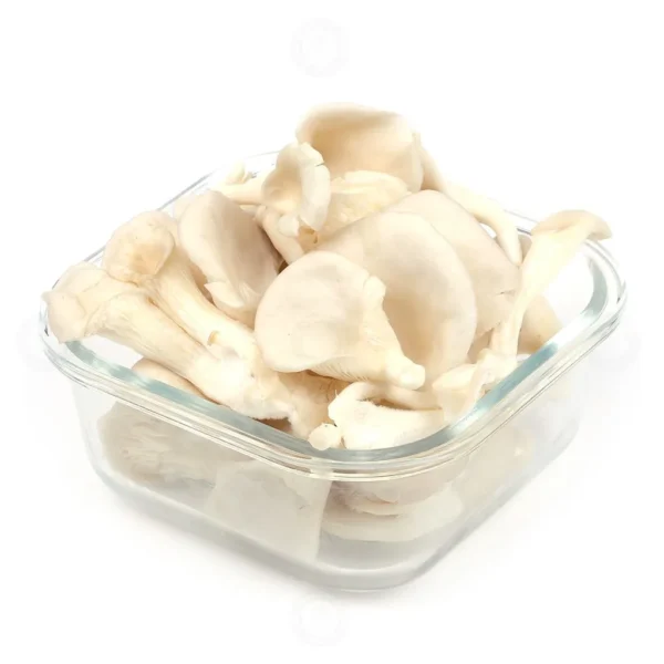 oyster-mushroom